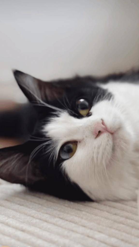 ☆ 2／18 ありがとうの気持ち ☆