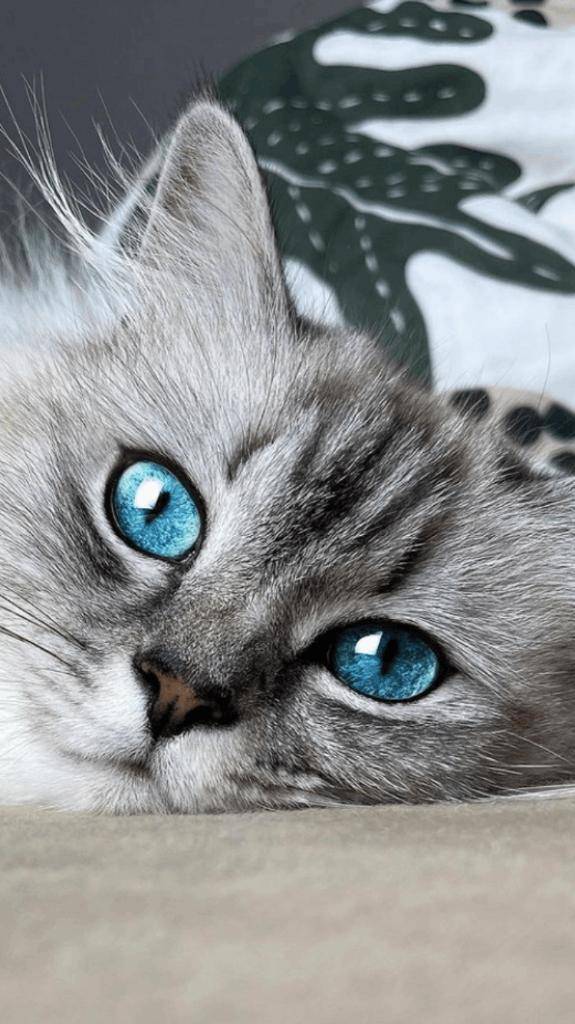 ☆ 2／22 ありがとうの気持ち ☆