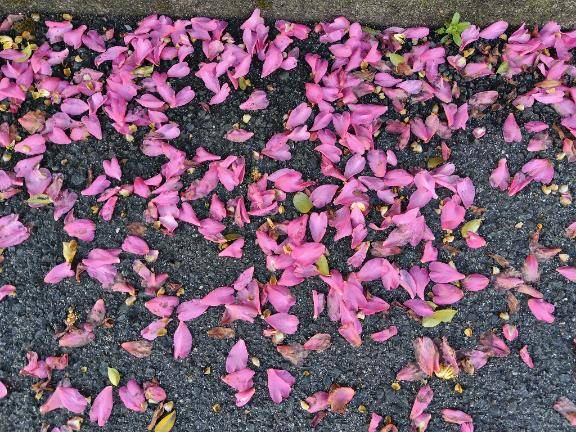 おはようございます?