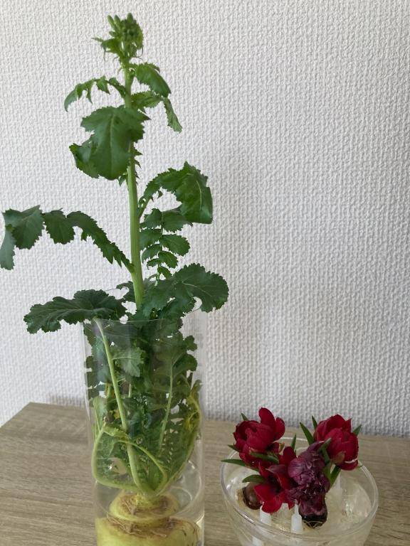 ☆ 咲～い～た☆