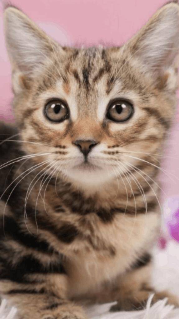 ☆ 2／28 ありがとうの気持ち ☆