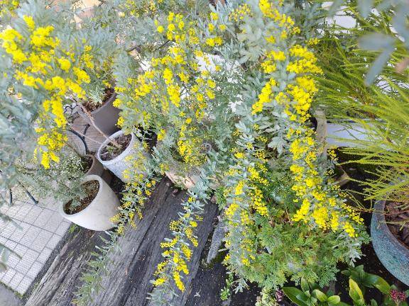 おはようございます?