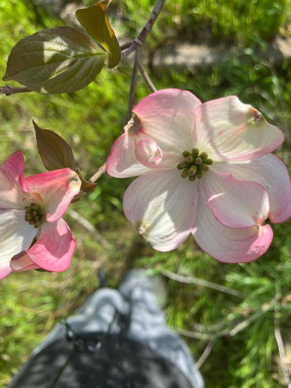 [お題]from:雛あられラブさん