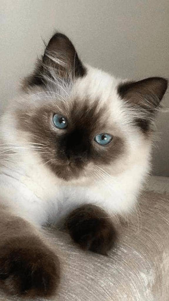 ☆ 3／4 ありがとうの気持ち☆