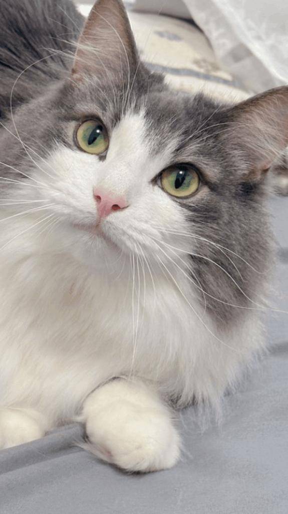 ☆ 3／７　ありがとうの気持ち☆