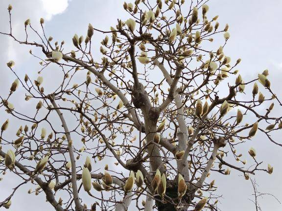 おはようございます?