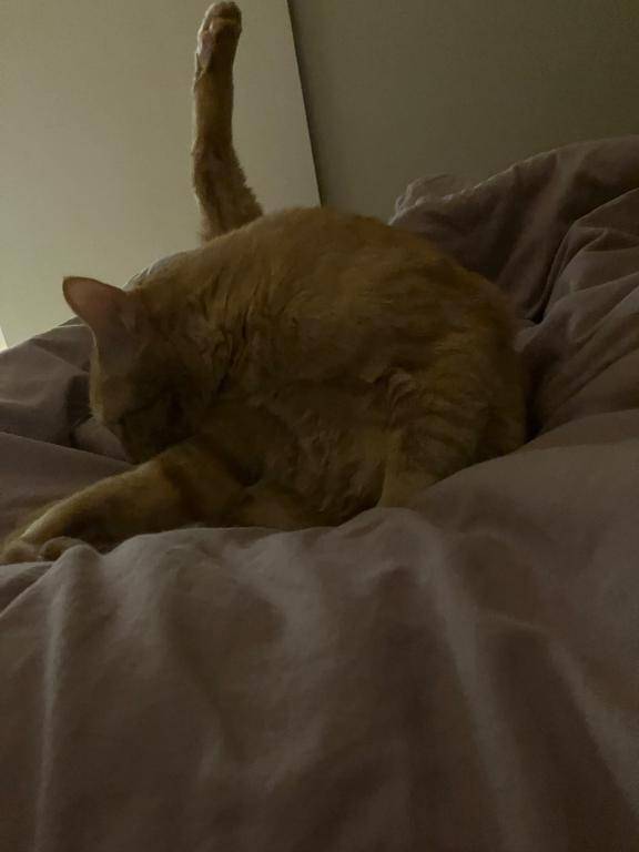 [お題]from:いつもありがとうさん