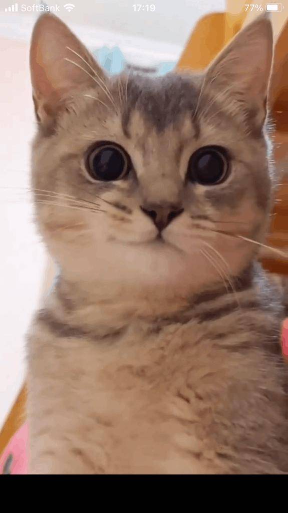 ☆ 3／14 ありがとうの気持ちl☆