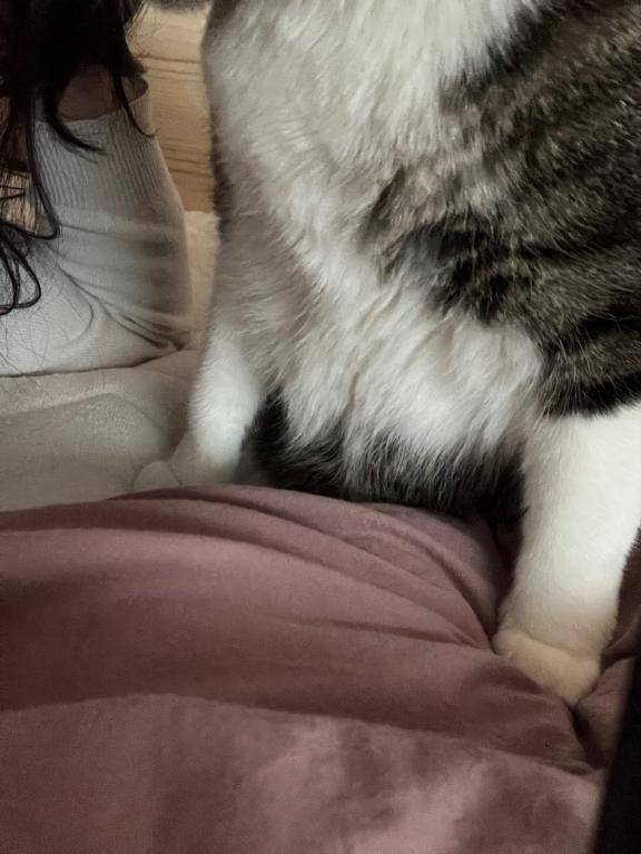 [お題]from:全力坂道さん