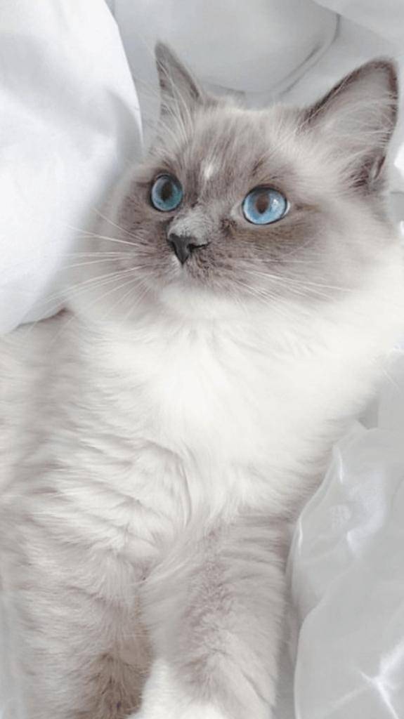 ☆ 3／15 ありがとうよ気持ち ☆