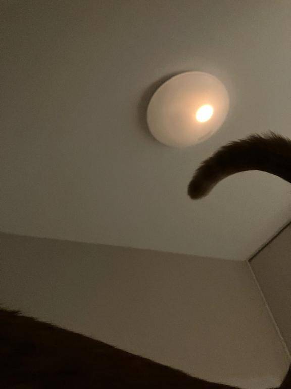 [お題]from:二択だよ♪さん