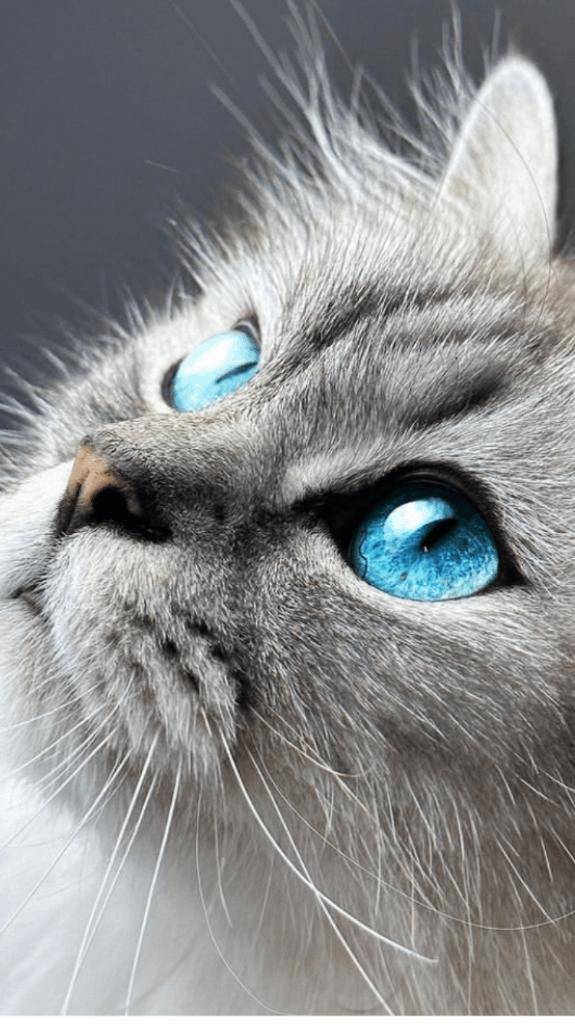 ☆ 3／20 ありがとうの気持ち ☆