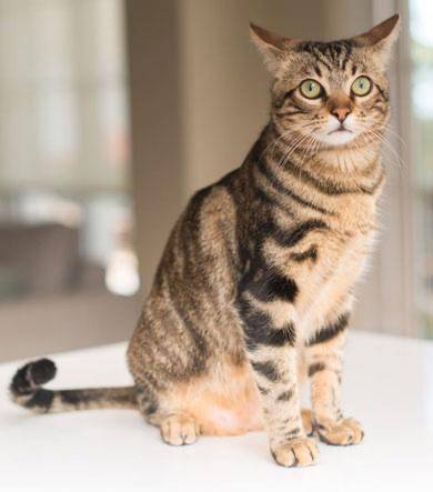 ☆ 3／21 ありがとうの気持ち☆