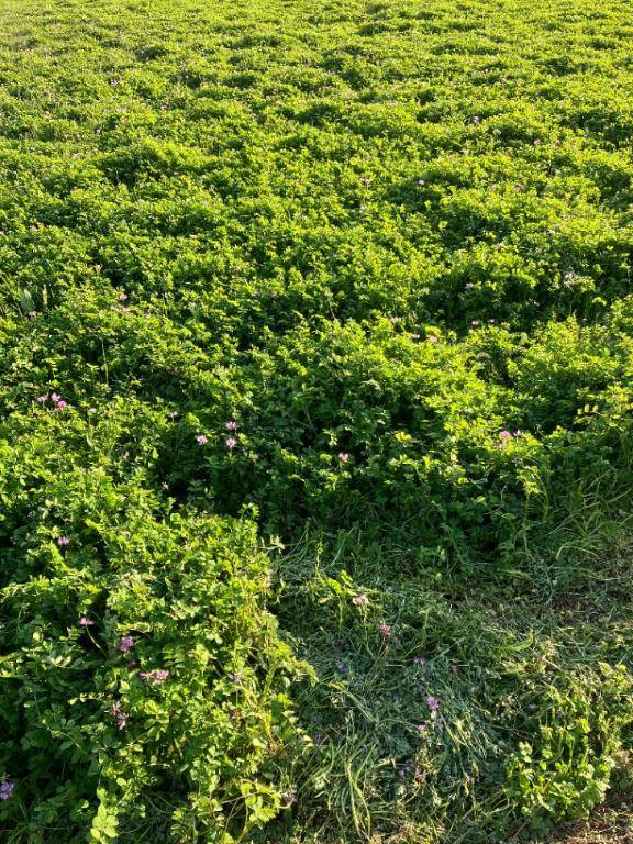 [お題]from:二択だよ♪さん