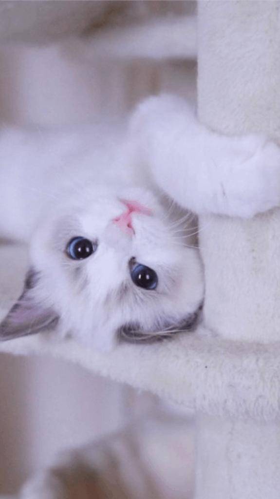 ☆ 3／28 ありがとうの気持ち ☆