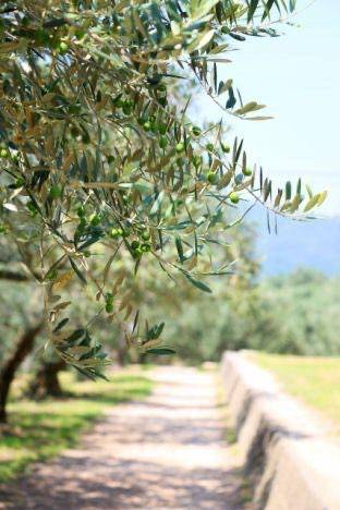 ありがとうございました