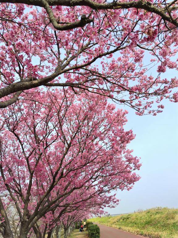 おはようございます?