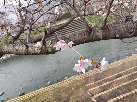 おはようございます?