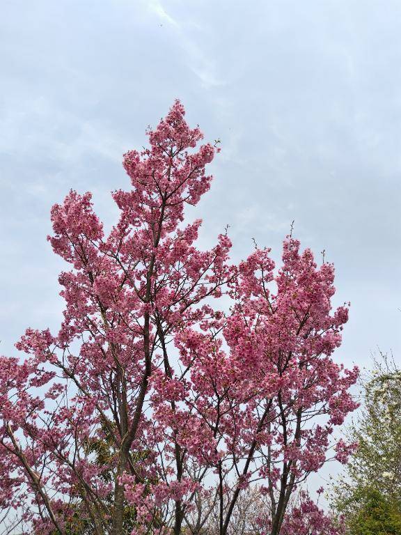 おはようございます?