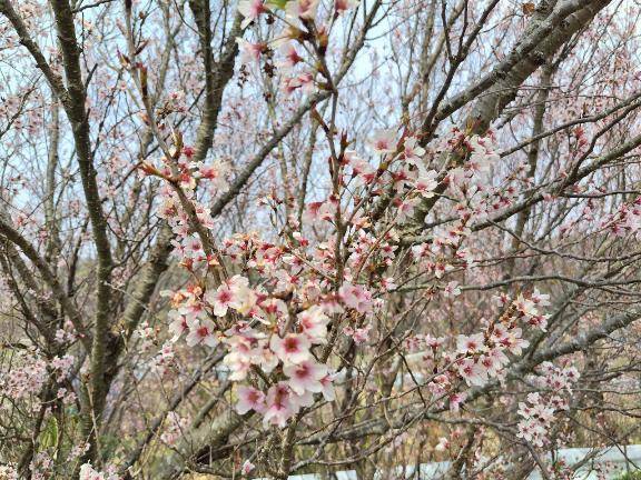 出勤しました??