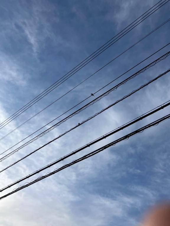 ありがとうございました