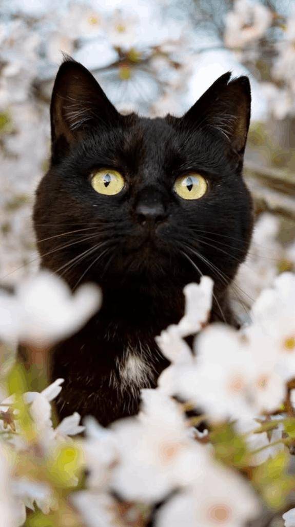 ☆ 4／11 ありがとうの気持ち ☆