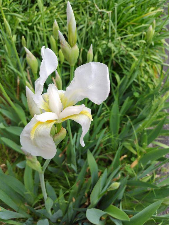 健康で長生き目指しましょ?