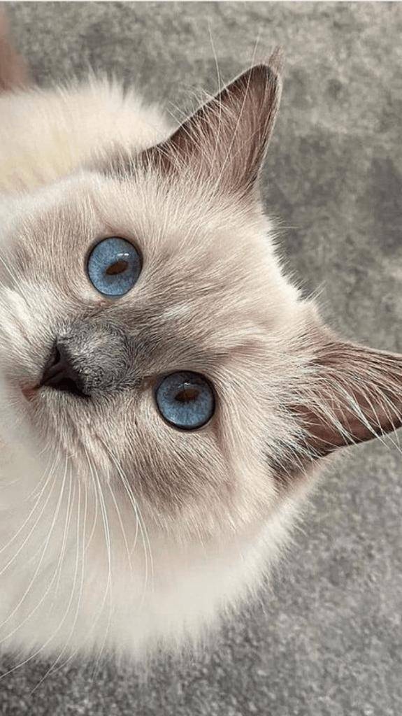 ☆ 4／14 ありがとうの気持ち☆