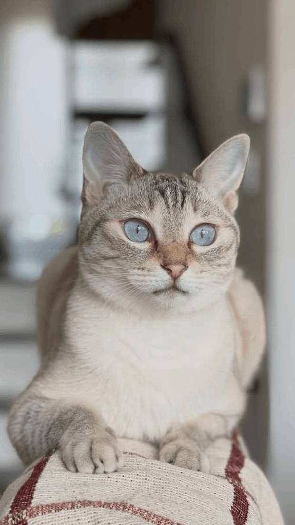 ☆ 4／18 ありがとうの気持ち ☆