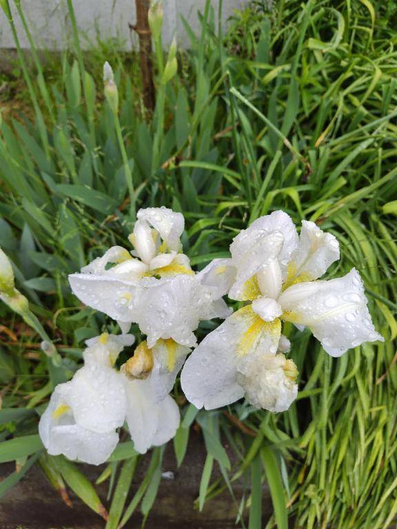 おはようございます?