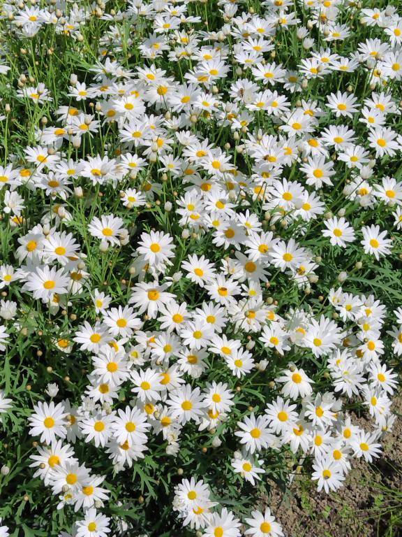 おはようございます?