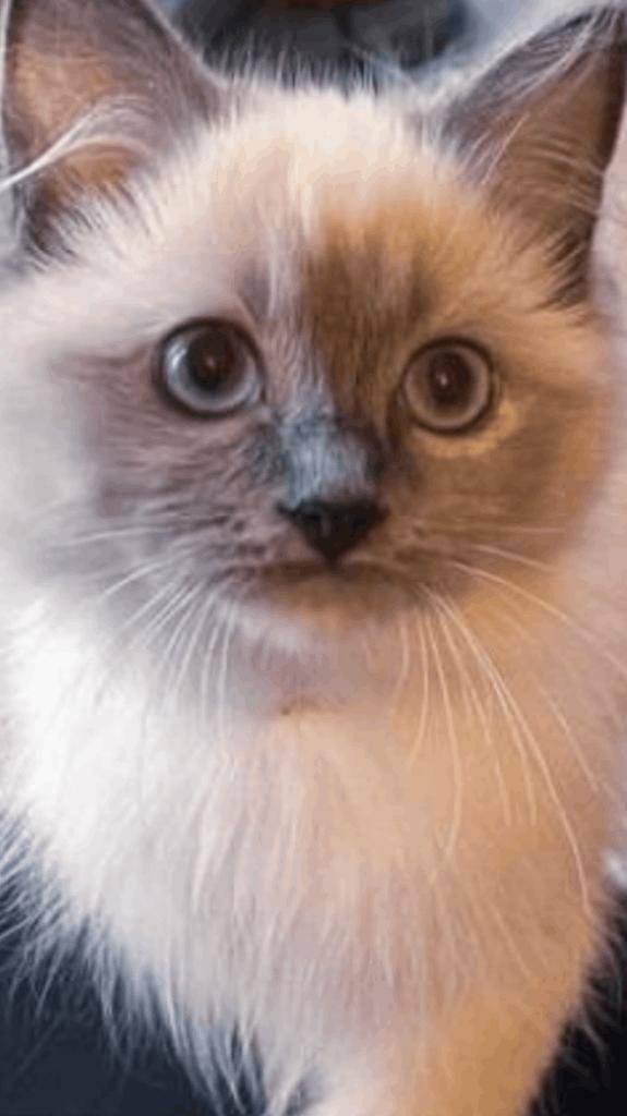 ☆ 4／27 ありがとうの気持ち ☆