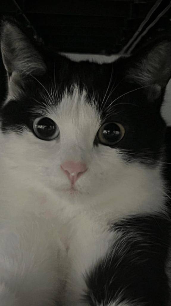 ☆ 4／29 ありがとうの気持ち ☆