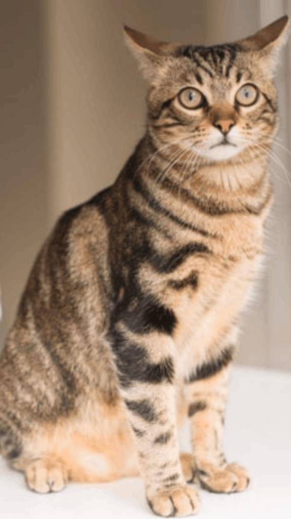 ☆ 4／30 ありがとうの気持ち☆