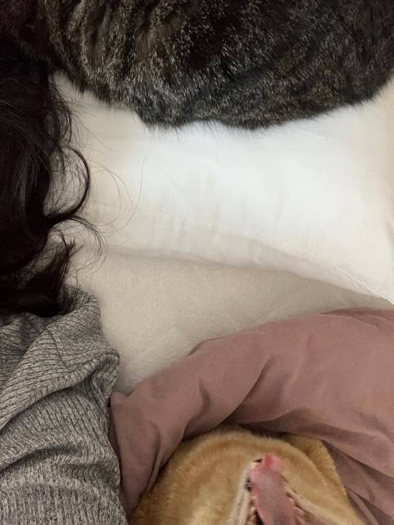 [お題]from:部屋で花火さん