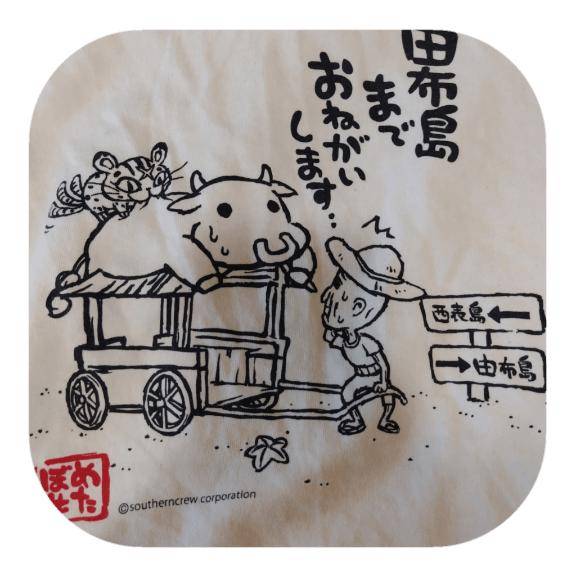 おはようございます?