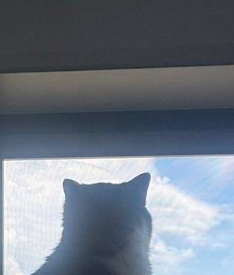 今日はお休み