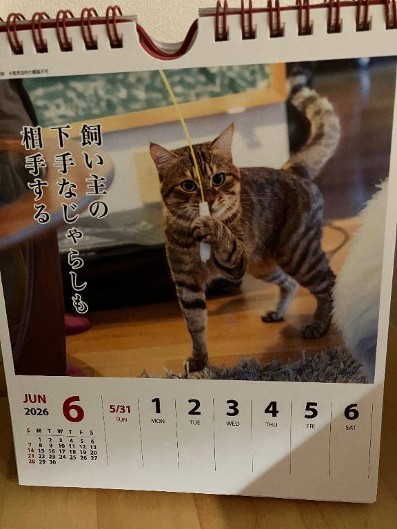 明日は