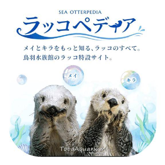 おはようございます?