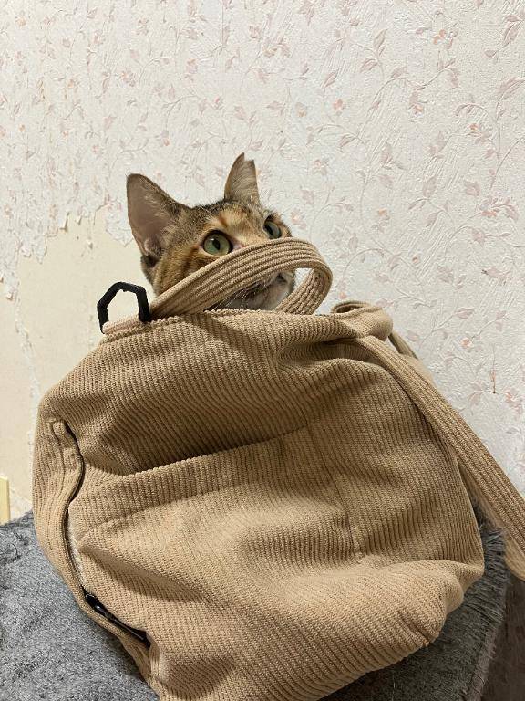 ありがとうございました