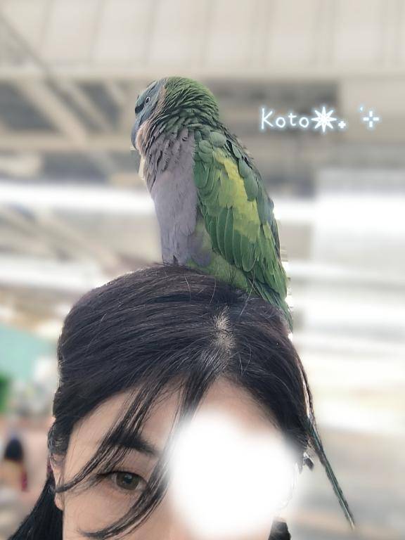 今日から3日間！