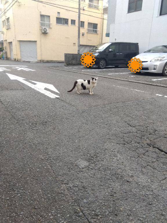 こんにちは(?????・?)???☆