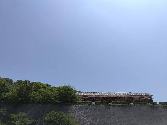 しのぶ(千姫)