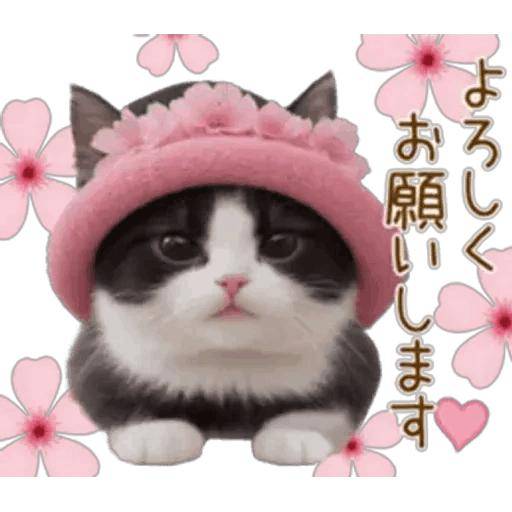 あっついけど