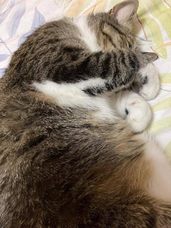 ありがとうございました