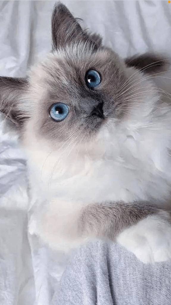 ☆ 6／17 ありがとうの気持ち ☆