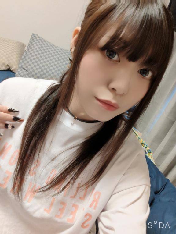 次回ご案内✨