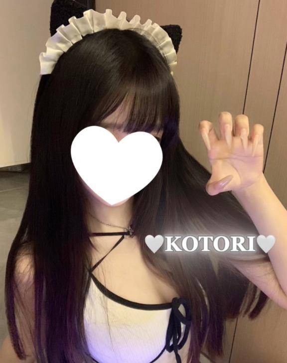 🕊️ 一択のみ♡