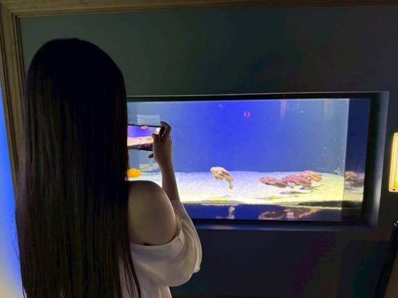 水族館ଘ(੭ˊ꒳​ˋ)੭✧