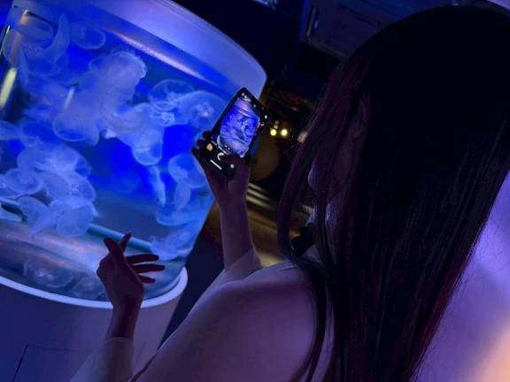 いるよんଘ(੭ˊ꒳​ˋ)੭✧